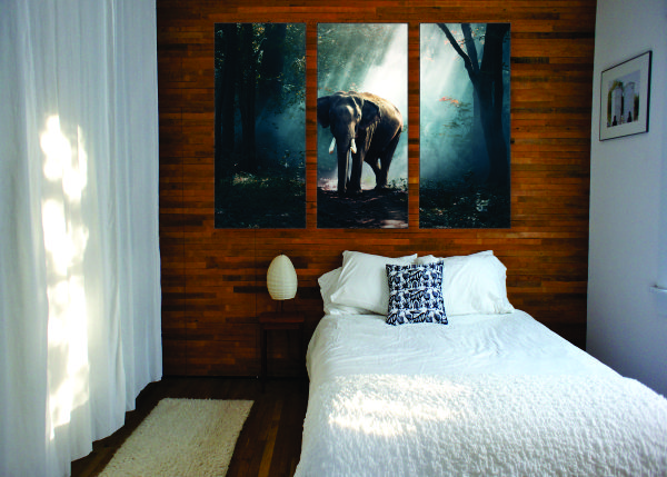 Majestic Elephant Canvas Print - 3 Piece