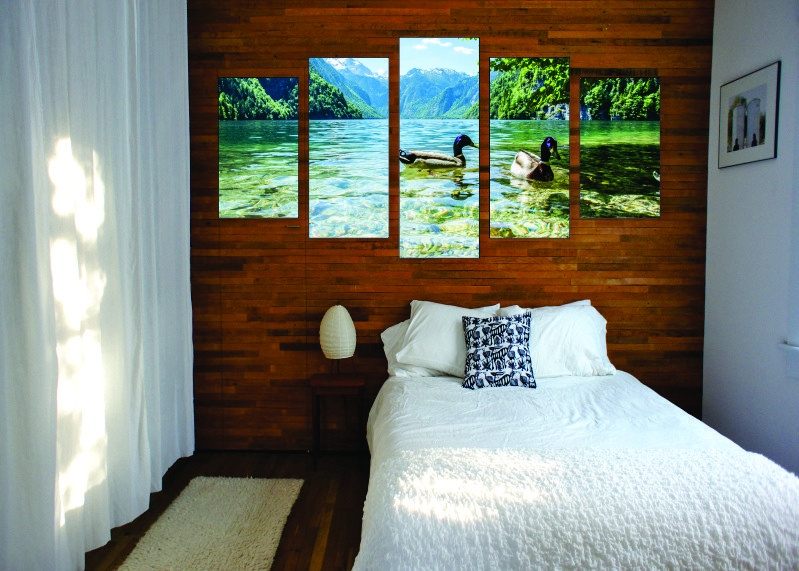 Ducks on a Lake Canvas Print - 5 Piece