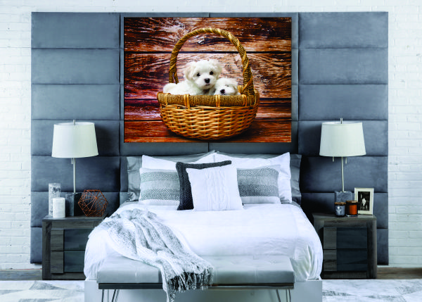 Puppies in a Basket Canvas Print - 1 Piece