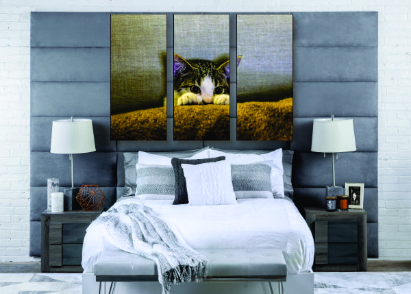 Scared Kitten Canvas Print - 3 Piece