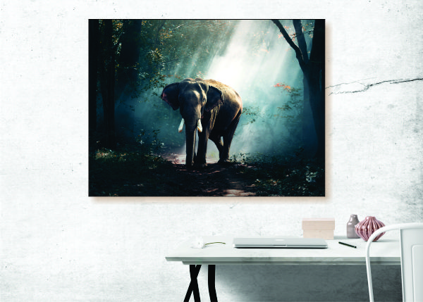 Majestic Elephant Canvas Print - 1 Piece