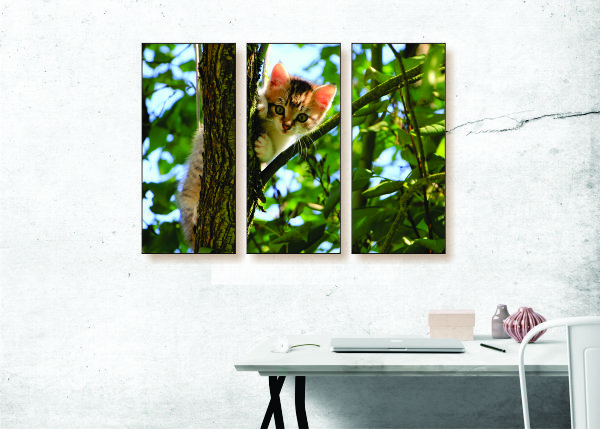Kitten in a Tree Canvas Print - 3 Piece
