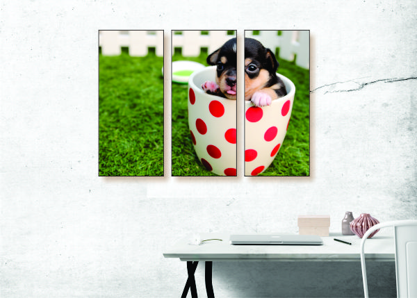 Puppy Mug Canvas Print - 3 Piece