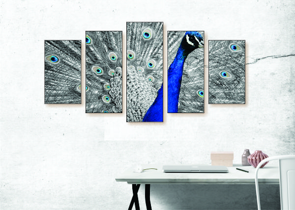 Black & White Peacock Canvas Print - 5 Piece