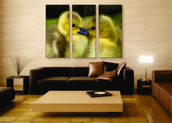 Loving Ducks Canvas Print - 3 Piece