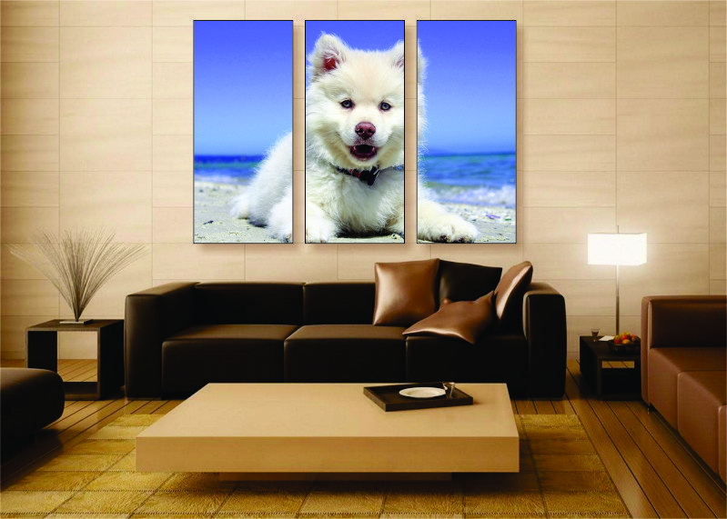 Samoyed Puppy Canvas Print - 3 Piece