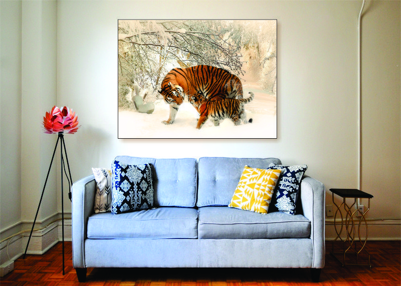 Tiger Cub Canvas Print - 1 Piece