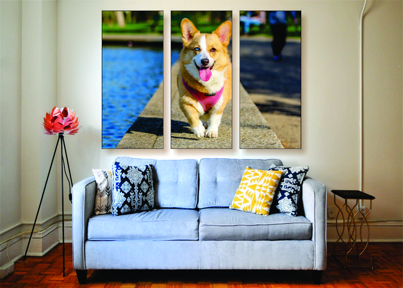 Cute Corgi Canvas Print - 3 Piece