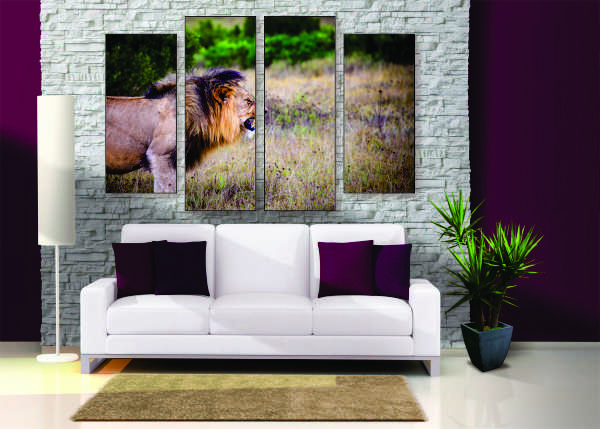 Fierce Lion Canvas Print - 4 Piece