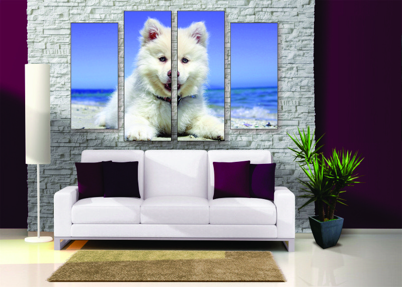 Samoyed Puppy Canvas Print - 4 Piece