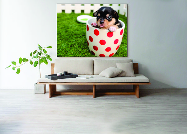 Puppy Mug Canvas Print - 1 Piece