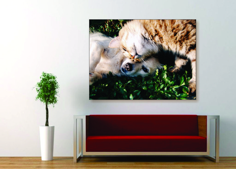 Cuddling Cat & Dog Canvas Print - 1 Piece