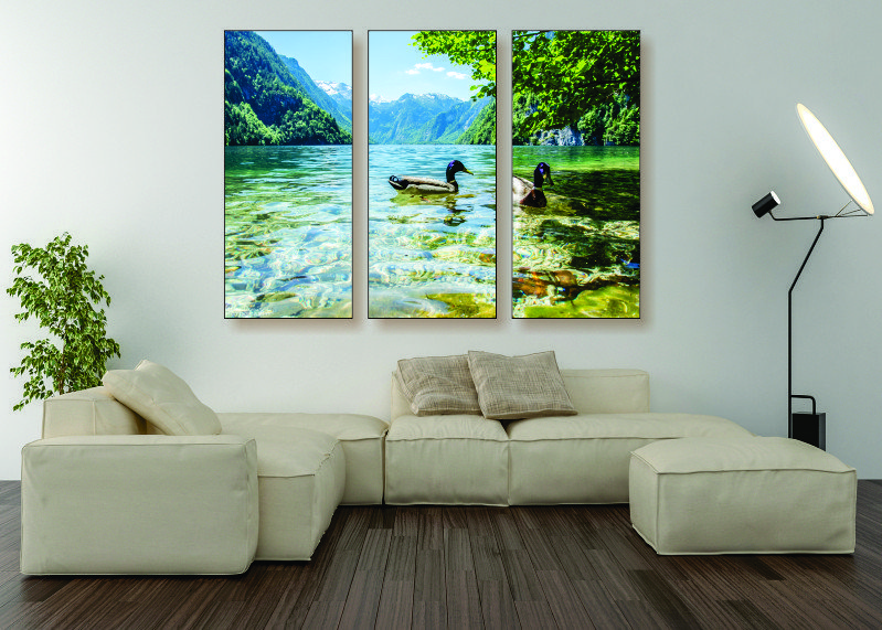 Ducks on a Lake Canvas Print - 3 Piece
