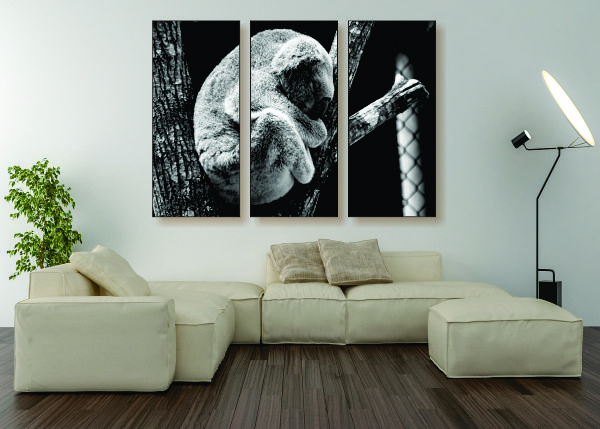 Sleepy Koala Canvas Print - 3 Piece