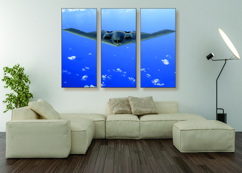 Stealth Bomber Canvas Print - 3 Piece