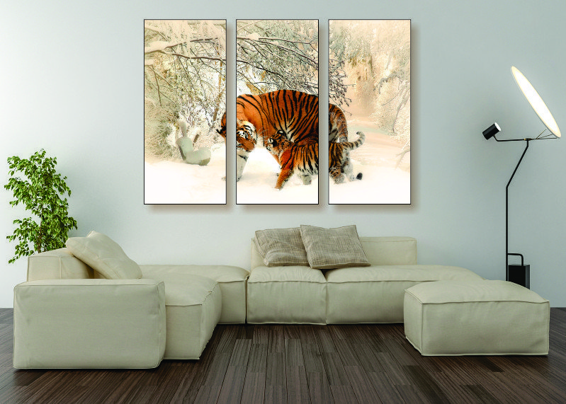 Tiger Cub Canvas Print - 3 Piece