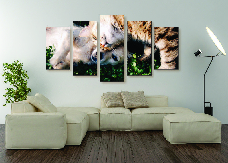 Cuddling Cat & Dog Canvas Print - 5 Piece