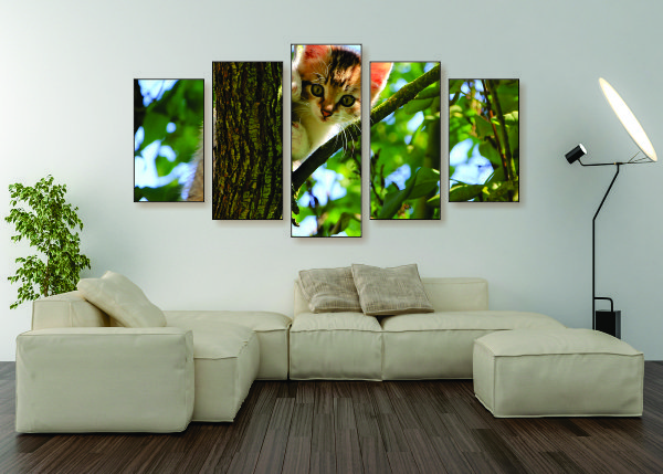 Kitten in a Tree Canvas Print - 5 Piece